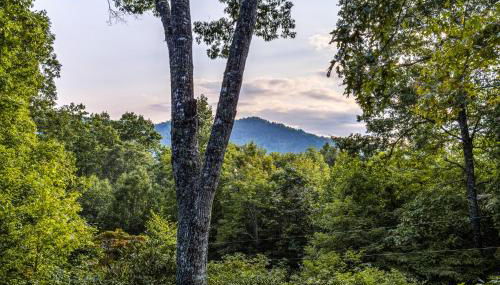 The Treehouse - Foto 4