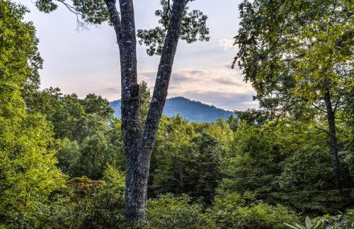 The Treehouse - Foto 4