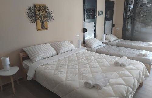Silvi house - Photo 54