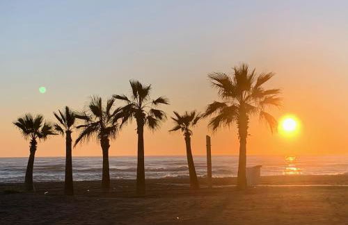 appartement Duna Beach - Photo 20