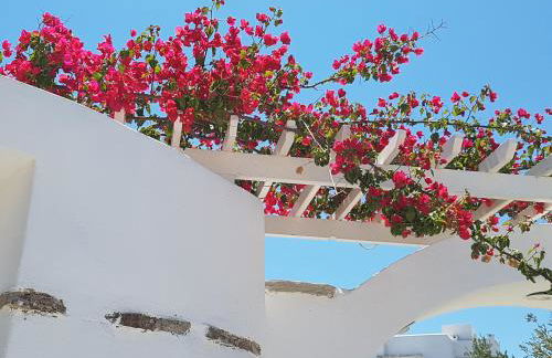 Kastro Antiparos - Foto 21