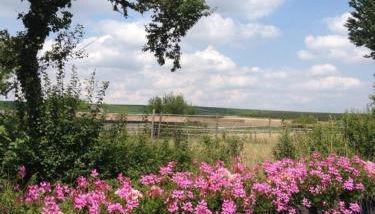 Ferienwohnung Am Backhausgarten - Photo 3