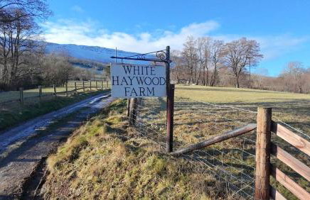 White Haywood Farmhouse - Photo 4