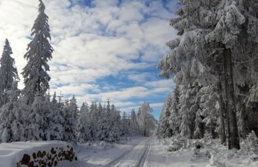 Dorfidylle - Thüringer Wald Rennsteig - Foto 16