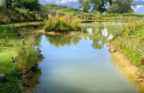 Beautiful 1-bed Cabin in Newmarket - Foto 33