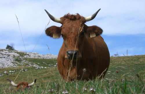 Résidence les 3 Sommets - Foto 27