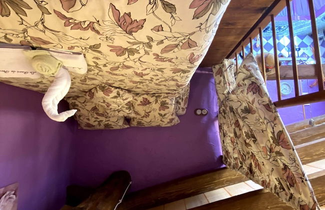 Lo Racó de Peret - Foto 13