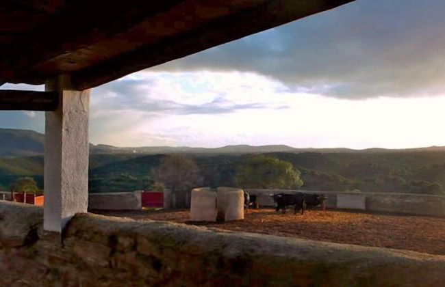 El Añadio - Foto 38