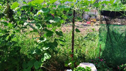 Magdalini Studio - Foto 2