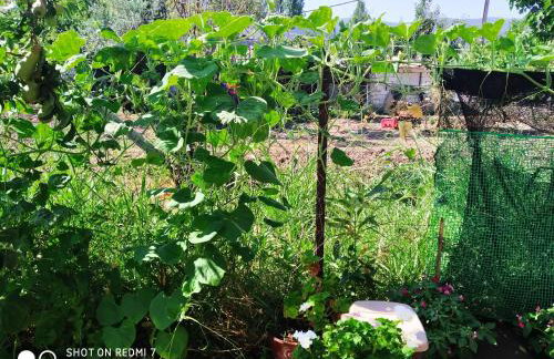 Magdalini Studio - Foto 2