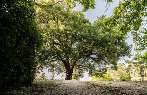 Villa Checco by MMega - Foto 11