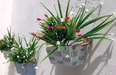 Dimora nel Salento a 40MT dal mare - Foto 14