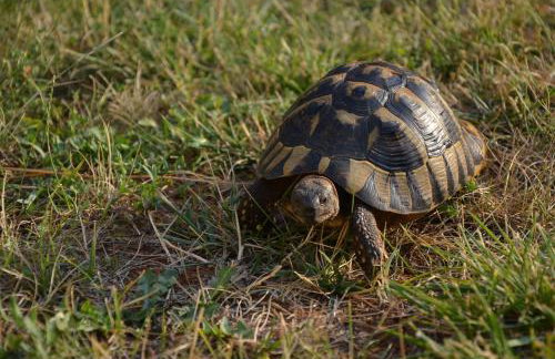 Apartmenthaus Sabine - Photo 78