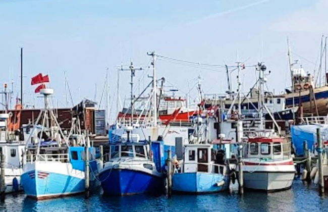 6 Person Holiday Home in Graested-by Traum - Foto 26