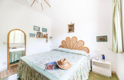 Gli Oleandri di Procchio - Foto 12