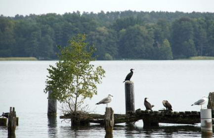 Marina Maisonette Seeblick mit Pool und Sauna - Photo 59