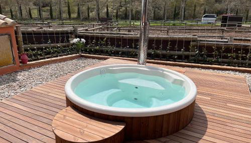 Touristic Ballonga Horses - Foto 3