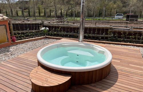 Touristic Ballonga Horses - Foto 3