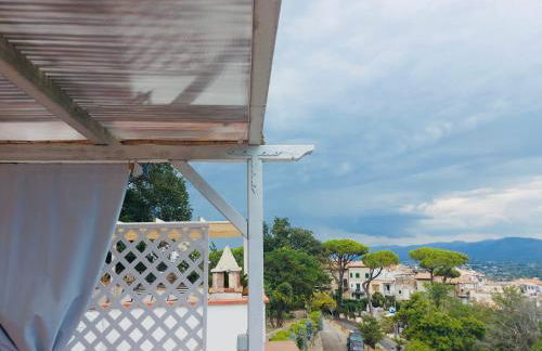 Pino Marino - Foto 35