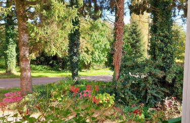 Le nid dans le chêne - Photo 30