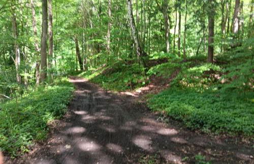 Ferienwohnung Engelsthann - Photo 31