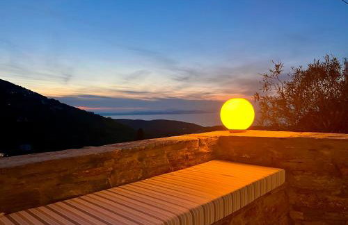 Ioulis Century Home - Photo 11