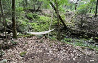 Amazing Equipped Bell Tent Nestled Among Nature in New York - Foto 16