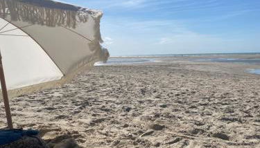 Joie de vivre le touquet - Foto 3