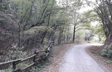 Casetta Monterano - Foto 11