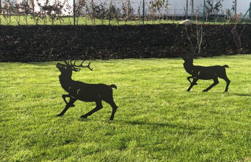 Ferienhaus Chalets Inzell - Foto 7