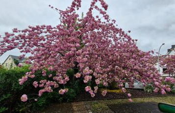 Maisionette FEWO Sternchen - Foto 16