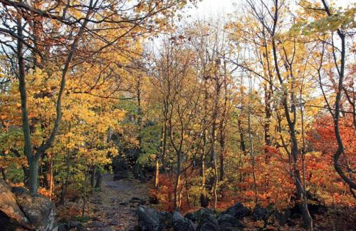 Azyl Sobótka - Photo 13