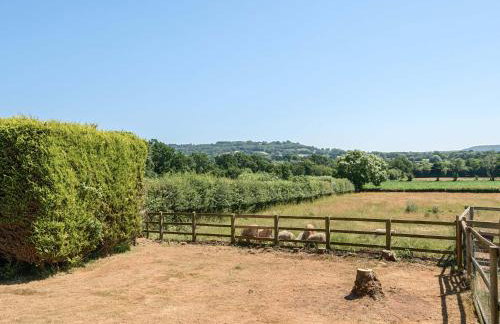 Piglet Corner - Photo 30