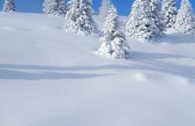 Very Nice Appartment for 4, Marilleva 900, Val di Sole - Foto 74