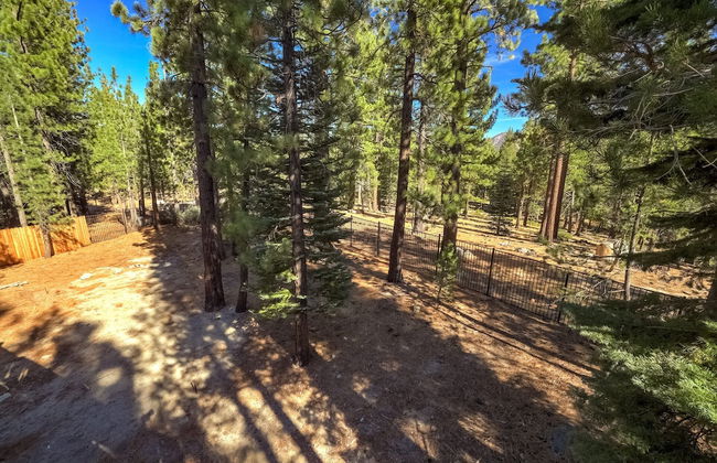 The Lodge on Oaxaco - Epic Man Cave / Billiard Room - Foto 41