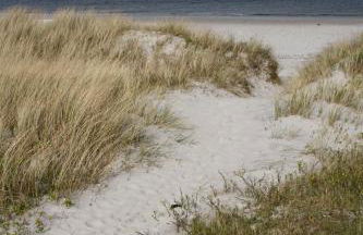 2-Zimmer Wohnung in Gelting an der Ostsee - Foto 20