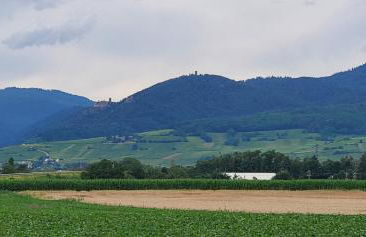 Le Nid Douillet de Bergheim - Foto 28