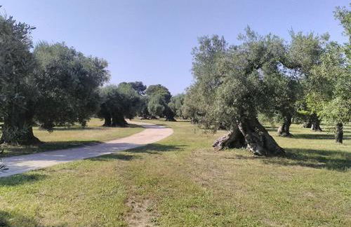 grottedisileno - Foto 8