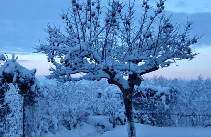 Casa Fornace 28 - Photo 72