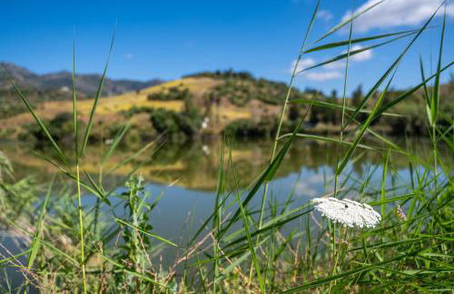 Málaga Sierra de las Nieves by Real Spain Hotels Adults Recommended - Foto 74