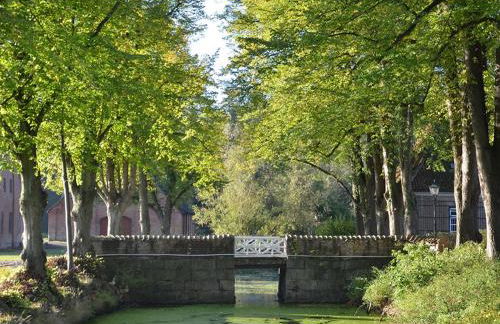 Kultur Gut Hasselburg - Foto 70