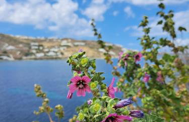 Ariadne Pool Studio at Ornos - Foto 9