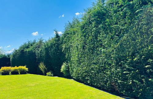 Le Farfalle in Morgex - Foto 7