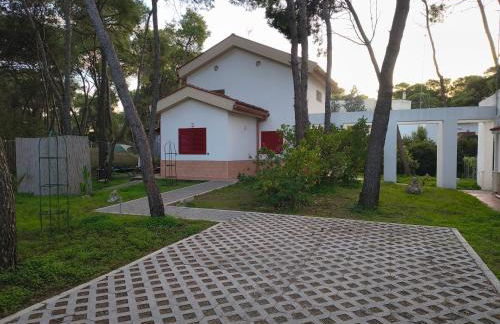 Villa immersa in pineta 100m dalla spiaggia - Foto 40