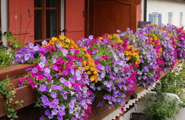 Bader Modern Retreat - Foto 29