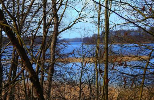 Haus Hilde Zarrentin am Schaalsee - Foto 25