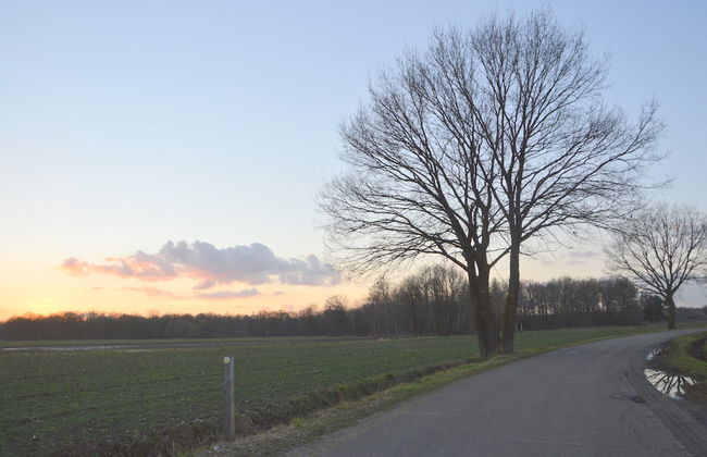 Alluring Holiday Home in Limburg near Forest - Photo 33