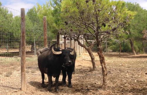 Apartamento Turistico Cigüeña de Arguedas - Foto 44