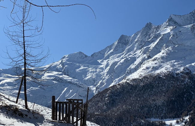Bergfreude - Foto 65
