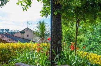 Moinhos do Pisão - Foto 59